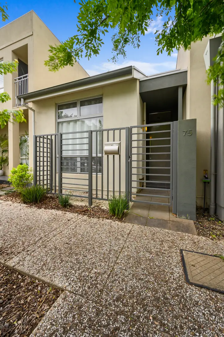 Main view of Homely townhouse listing, 75 MACMILLAN AVENUE, Mawson Lakes SA 5095