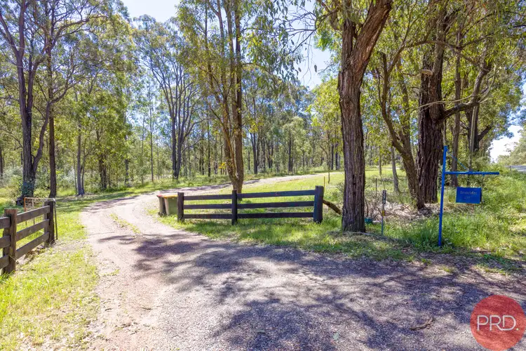 Main view of Homely rural property listing, 299 Bell Road, Lower Belford NSW 2335