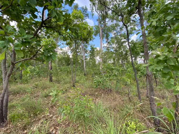 155 Produce Road, Humpty Doo NT 836