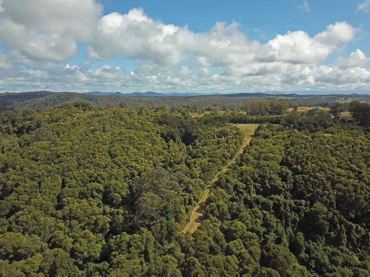 Third view of Homely rural property listing, 719 Beech Road, Elands NSW 2429