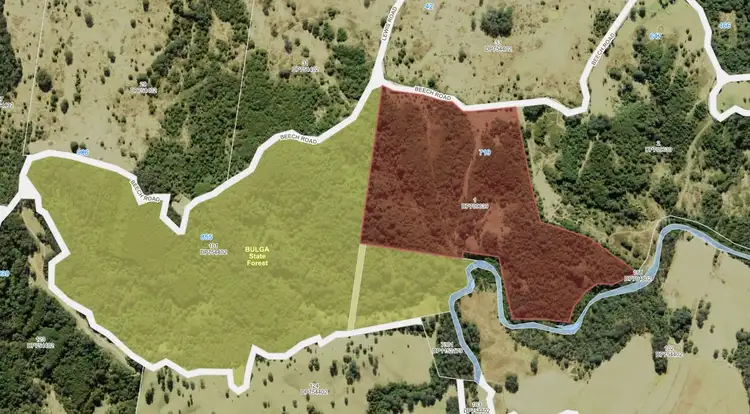 Fifth view of Homely rural property listing, 719 Beech Road, Elands NSW 2429