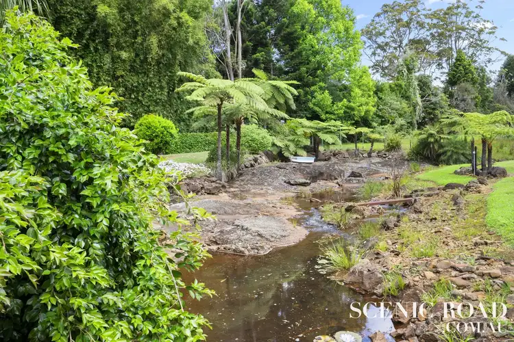 Fifth view of Homely rural property listing, 69-73 Benowa Street, Tamborine Mountain QLD 4272