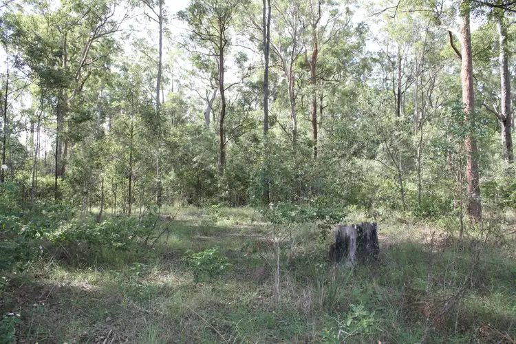 Fourth view of Homely rural property listing, Lot 22 PACKER ROAD, Blackbutt North QLD 4314