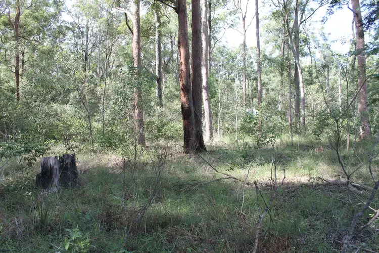 Fifth view of Homely rural property listing, Lot 22 PACKER ROAD, Blackbutt North QLD 4314