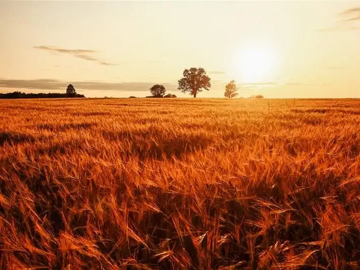 Fifth view of Homely land listing, Lot 123 Edward Street, Forbes NSW 2871