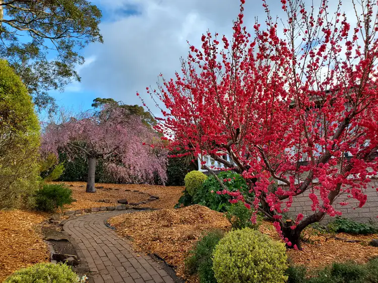 Main view of Homely house listing, 95 Oxley Drive, Mittagong NSW 2575
