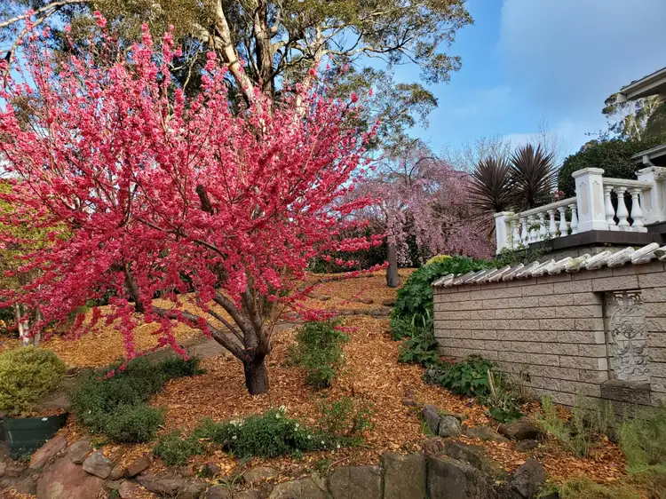 Fifth view of Homely house listing, 95 Oxley Drive, Mittagong NSW 2575