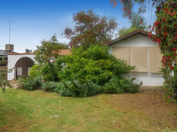 Main view of Homely house listing, 11 Pendula Street, Leeton NSW 2705