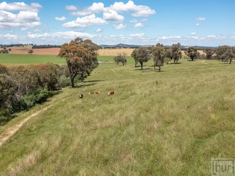 Main view of Homely land listing, 1098 Hovell Road, Moorwatha NSW 2640