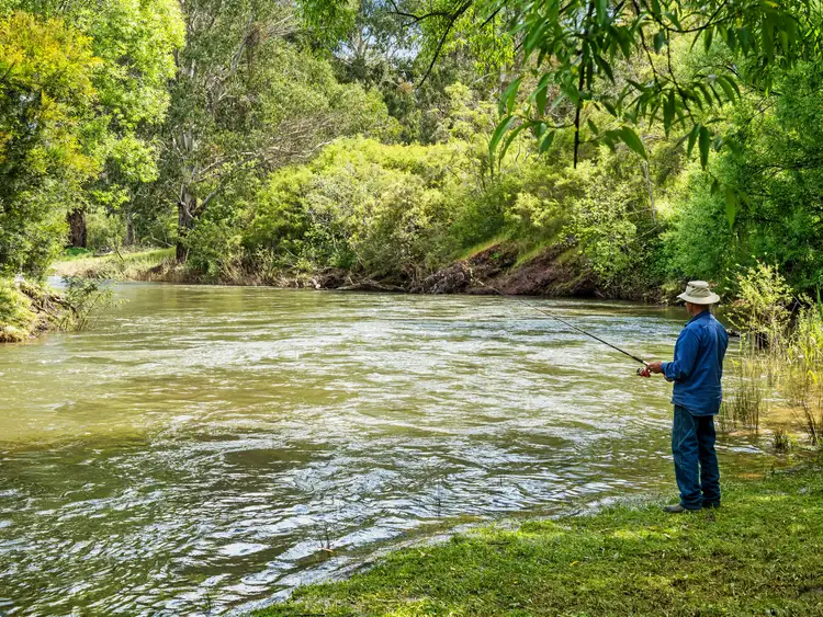 Second view of Homely rural property listing, 166 Ashwin Road, Howqua VIC 3723