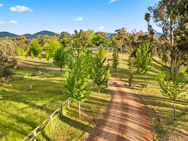 Fifth view of Homely rural property listing, 166 Ashwin Road, Howqua VIC 3723