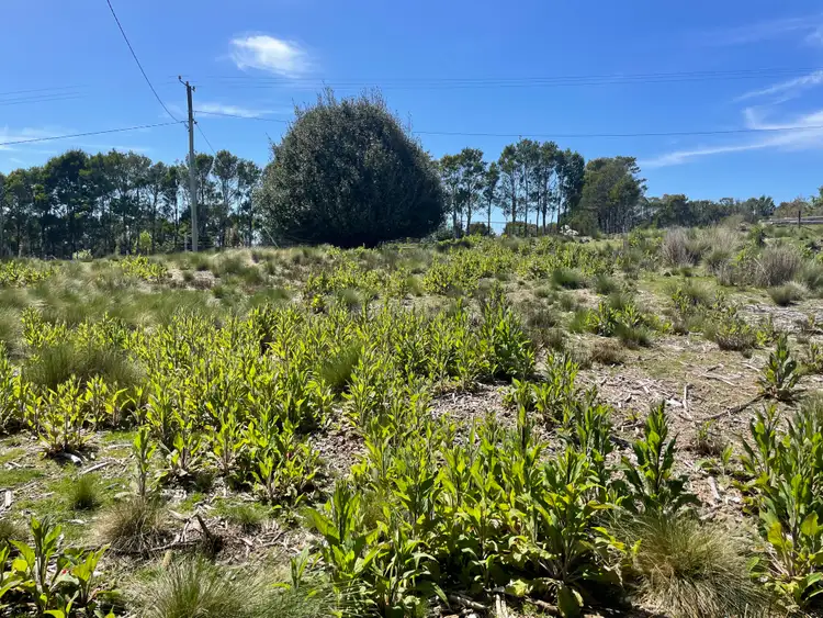 Sixth view of Homely land listing, 7 Vincent Street, Waratah TAS 7321