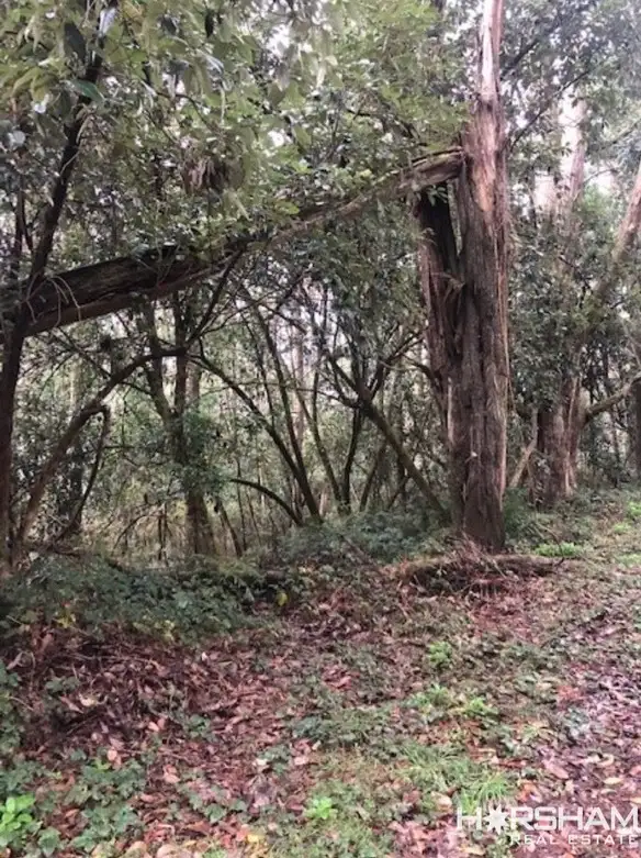 Third view of Homely land listing, Lot 1 Mountains Road, Cherokee VIC 3434