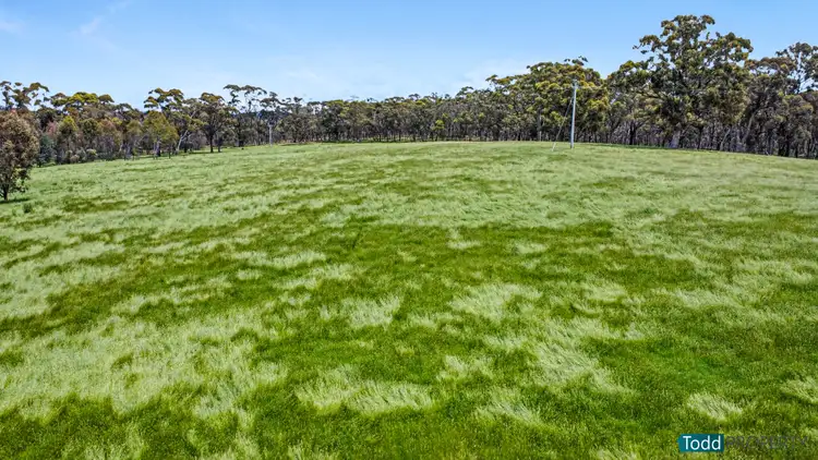 Seventh view of Homely rural property listing, LOT 2, 5600 Northern Highway, Heathcote VIC 3523