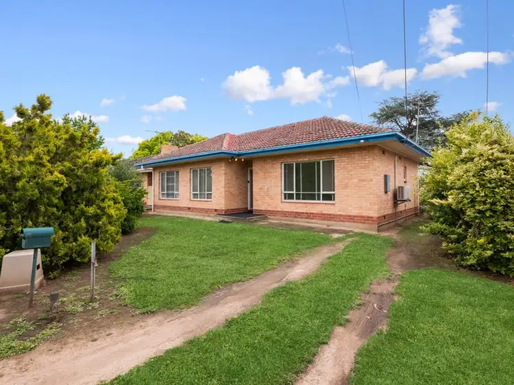 7 Whitelodge Road, Paradise SA 5075