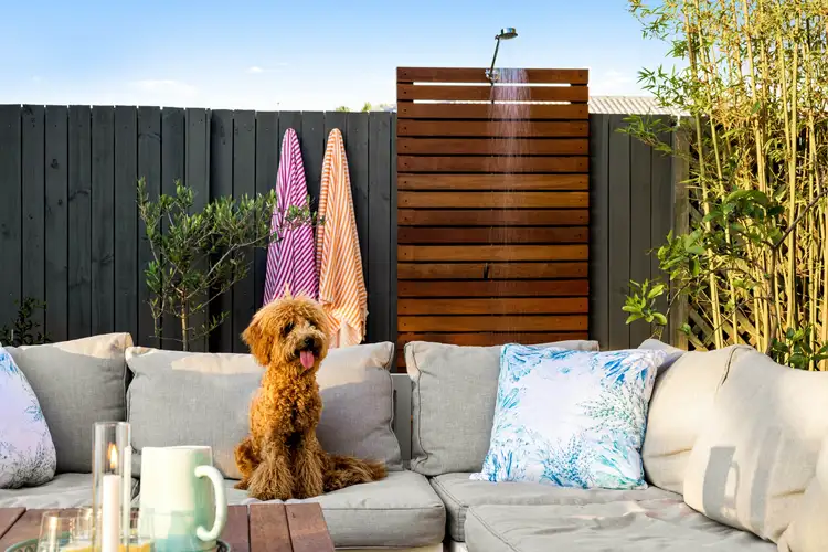 Fourth view of Homely house listing, 25 Marawa Drive, Parrearra QLD 4575