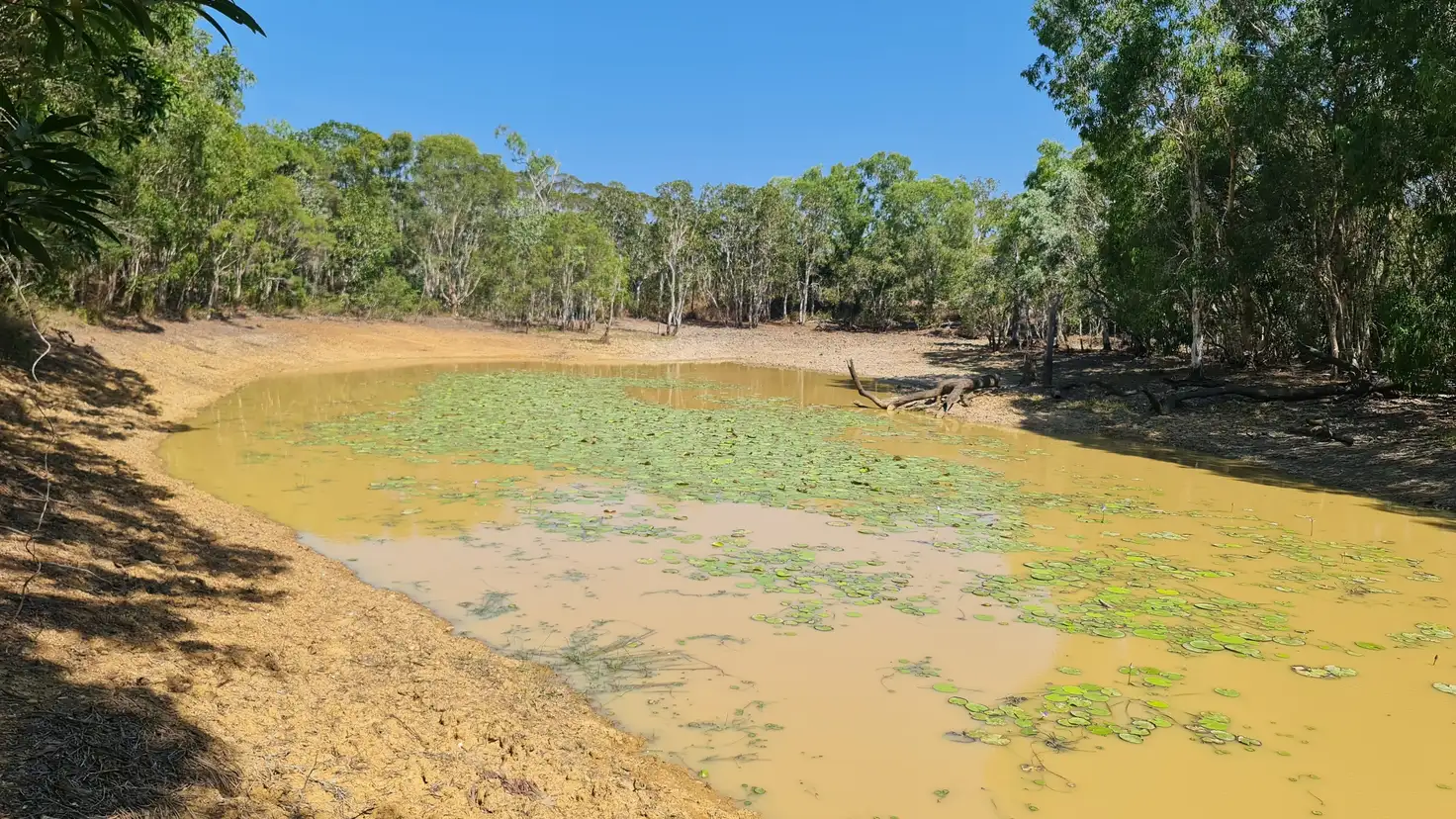 Main view of Homely rural property listing, 196 Solander Road, Cooktown QLD 4895