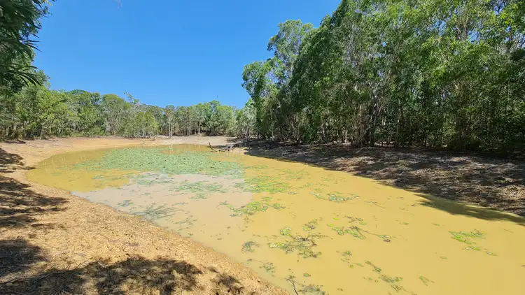 Fifth view of Homely rural property listing, 196 Solander Road, Cooktown QLD 4895