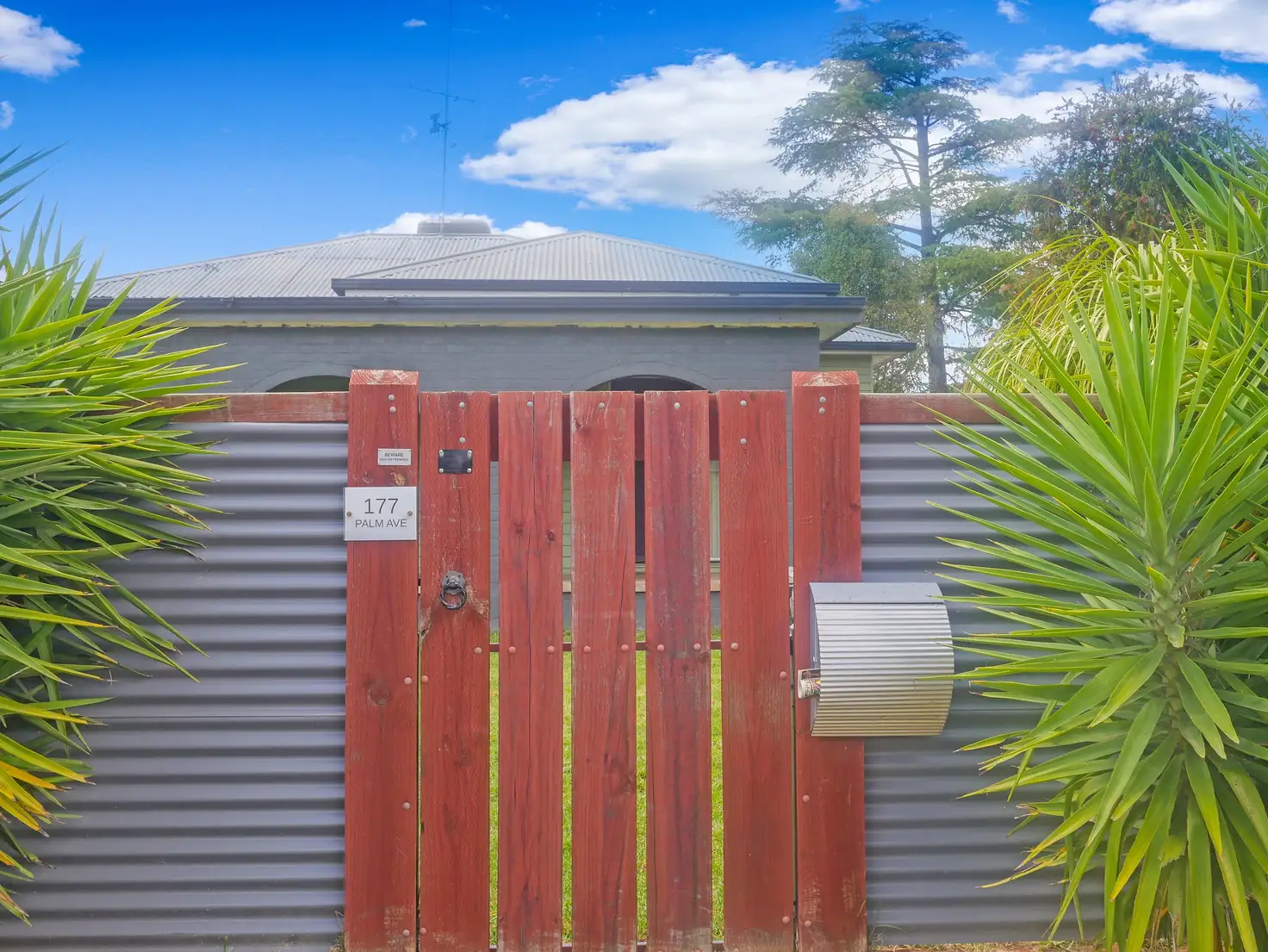 Main view of Homely house listing, 177 Palm Avenue, Leeton NSW 2705