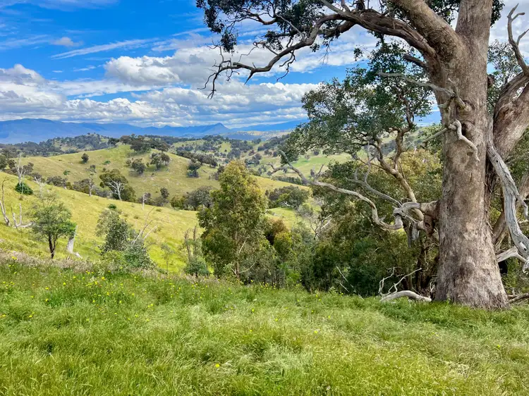 Sixth view of Homely land listing, 621 U T Creek Road, Alexandra VIC 3714