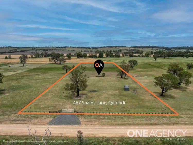 Main view of Homely land listing, 467 Spains Lane, Quirindi NSW 2343