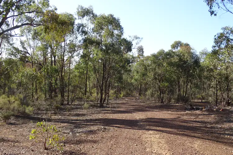 Main view of Homely land listing, 127 Nagambie-Rushworth Road, Bailieston VIC 3608