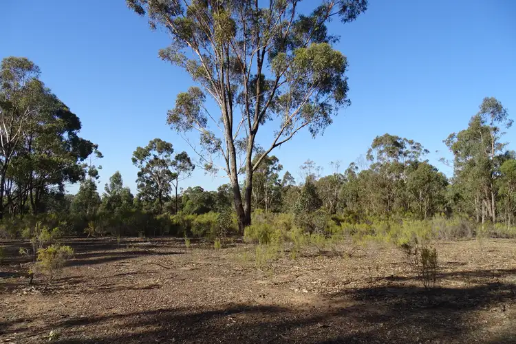 Third view of Homely land listing, 127 Nagambie-Rushworth Road, Bailieston VIC 3608