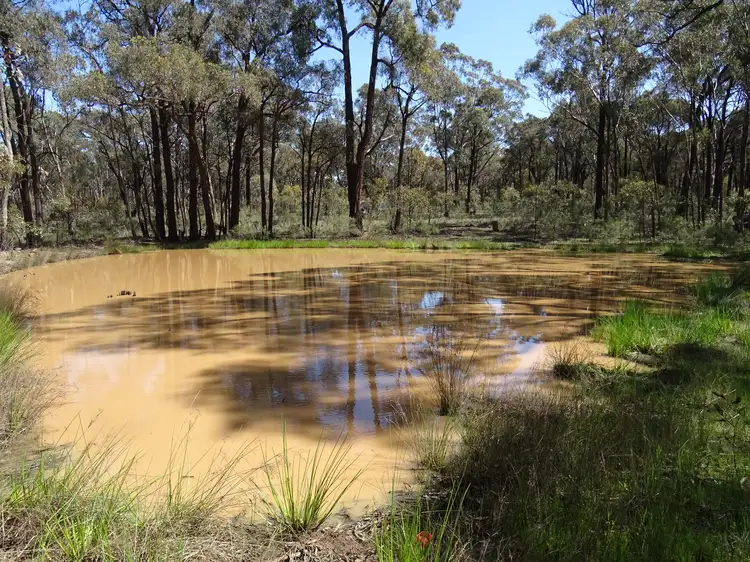 Main view of Homely land listing, 14 Spring Lane, Bailieston VIC 3608