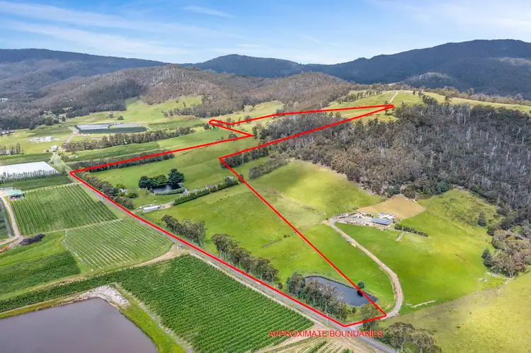 Main view of Homely house listing, 1557 Nicholls Rivulet Road, Nicholls Rivulet TAS 7112