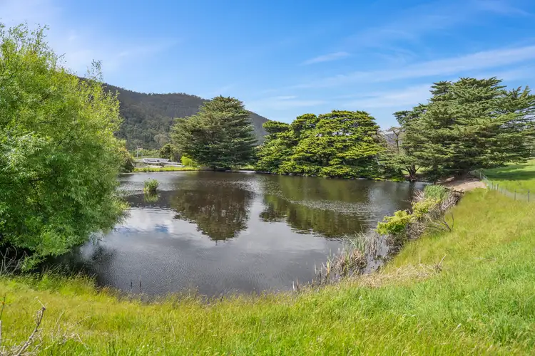 Fourth view of Homely house listing, 1557 Nicholls Rivulet Road, Nicholls Rivulet TAS 7112