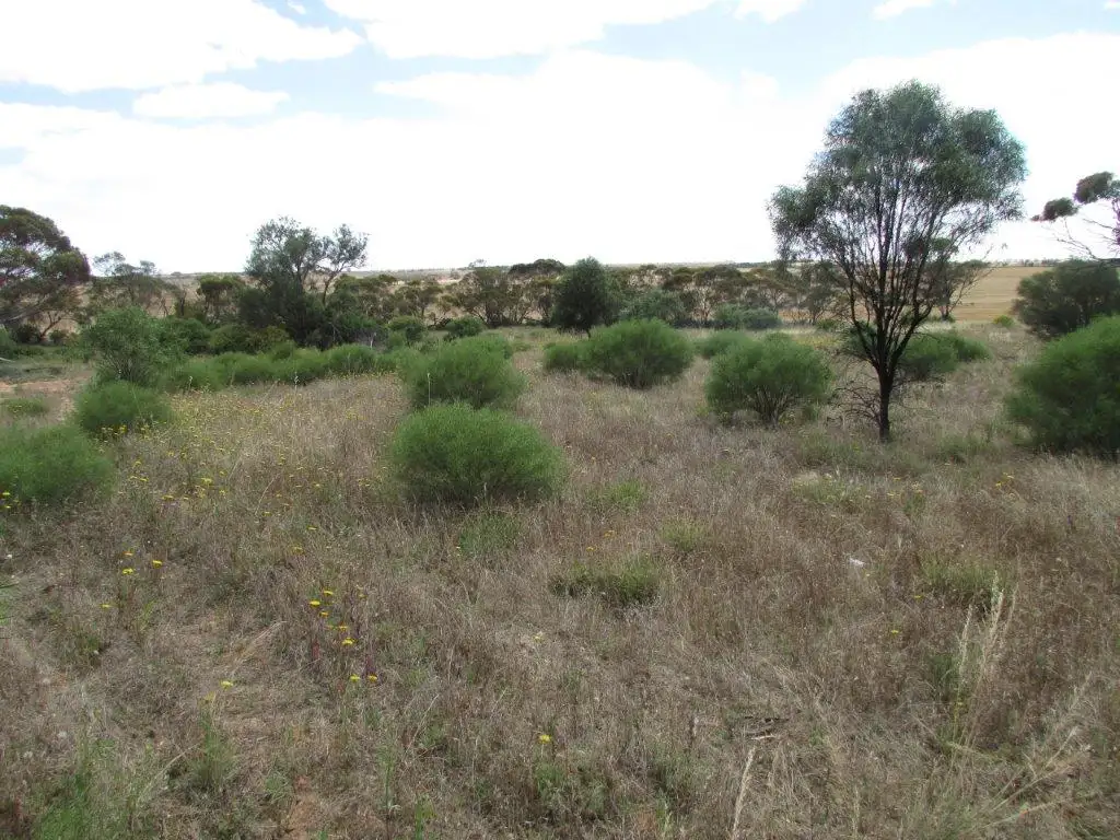 Main view of Homely land listing, LOT 78 Mahrong Street, Lascelles VIC 3487
