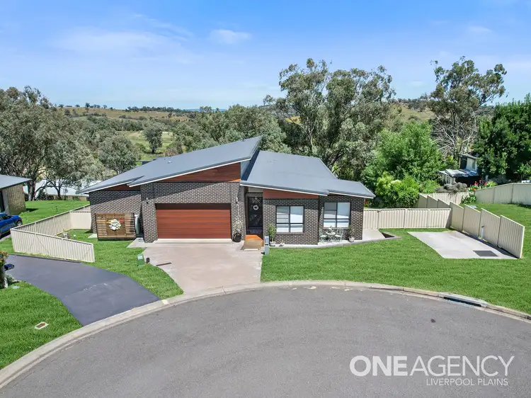 Main view of Homely house listing, 13 Snape Street, Quirindi NSW 2343