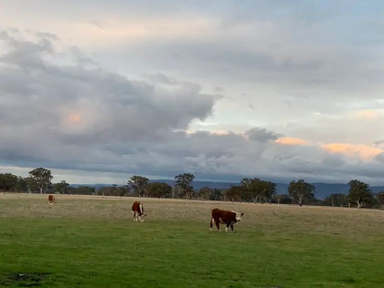 Second view of Homely land listing, 1280D Broadford-Glenaroua Road, Glenaroua VIC 3764