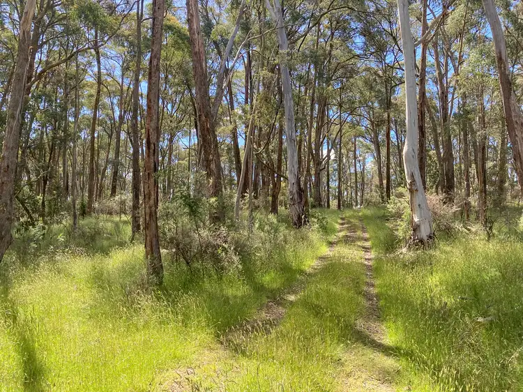 2531 Mansfield-Whitfield Road, Tolmie VIC 3723