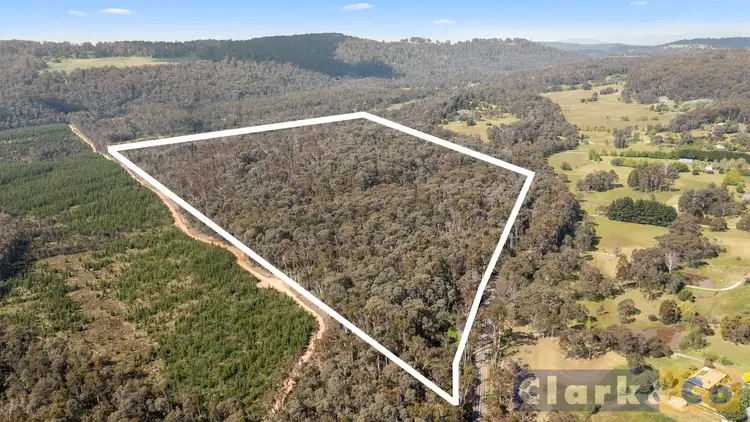 Second view of Homely land listing, 2531 Mansfield-Whitfield Road, Tolmie VIC 3723