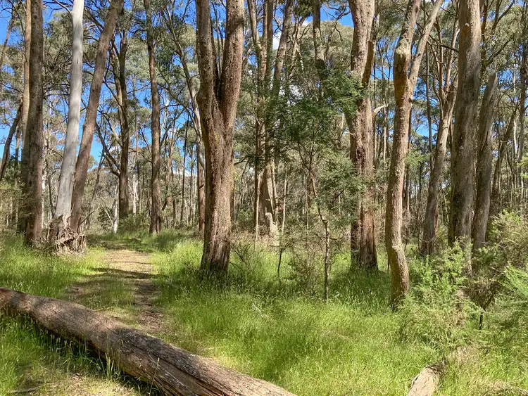 Fifth view of Homely land listing, 2531 Mansfield-Whitfield Road, Tolmie VIC 3723