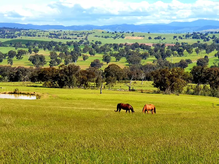 Third view of Homely rural property listing, 165 Melba Road, Barwite VIC 3722