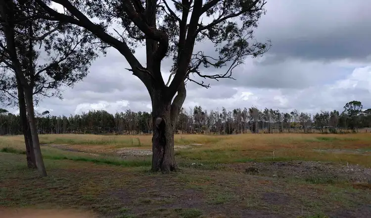 Second view of Homely land listing, 46 Leesville Road, Smithton TAS 7330
