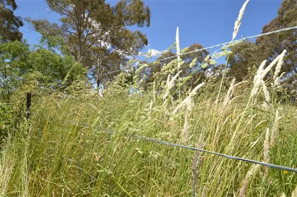 Third view of Homely land listing, 12 Martin Drive, Black Mountain NSW 2365