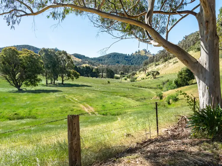 Fourth view of Homely rural property listing, 1955 Mansfield-Woods Point Road, Macs Cove VIC 3723