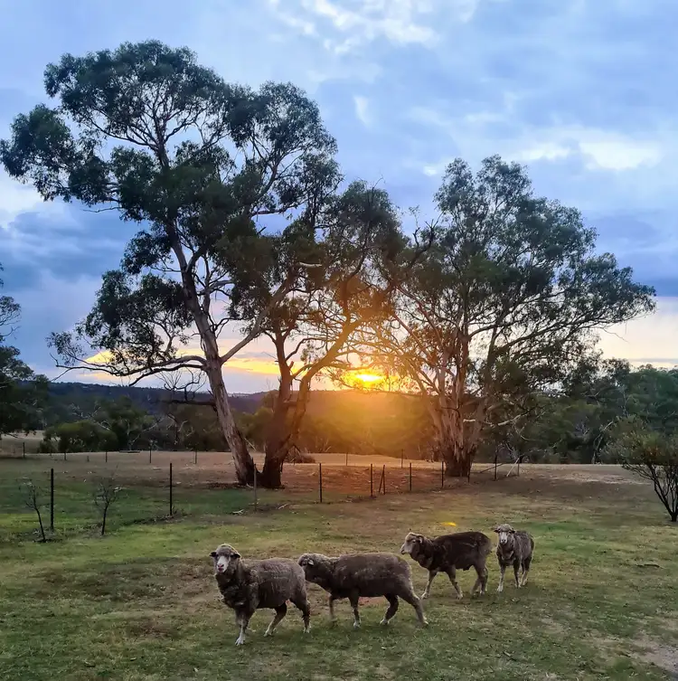 Fourth view of Homely rural property listing, 211 Bidgee Road, Cooma NSW 2630