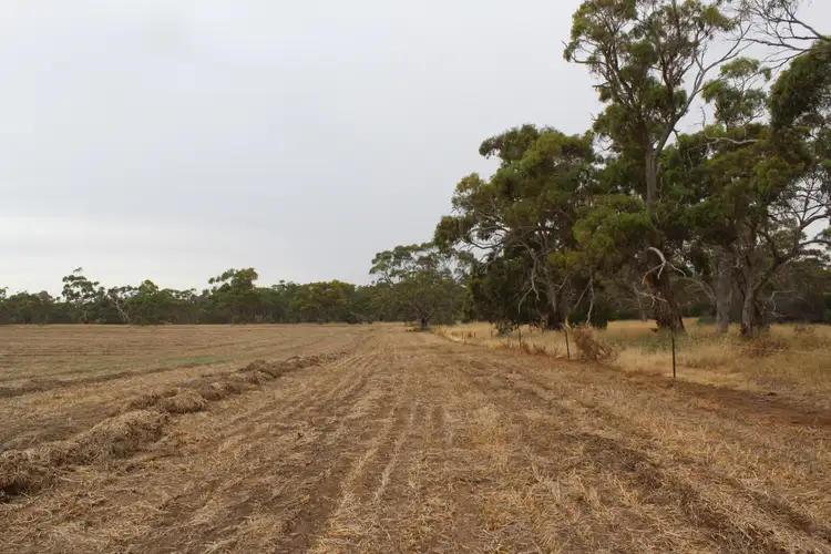 Main view of Homely rural property listing, Address available on request