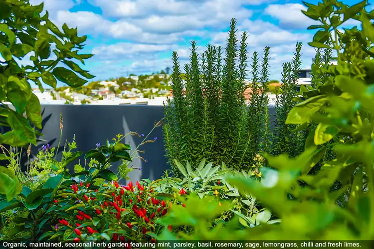 Third view of Homely apartment listing, 704/31 Longland Street, Newstead QLD 4006