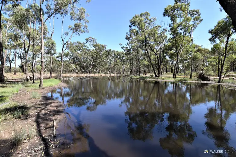 Third view of Homely rural property listing, 107b Murchison-Whroo Road, Whroo VIC 3612