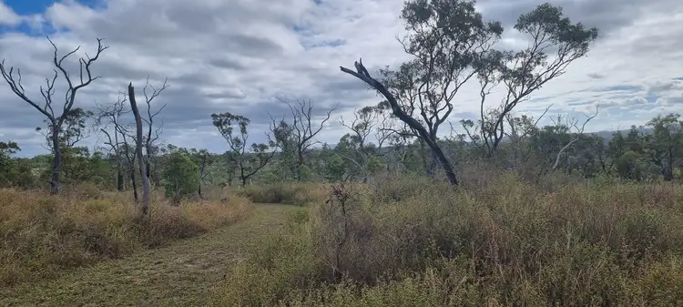 Second view of Homely rural property listing, 774 Chewko Road, Chewko QLD 4880