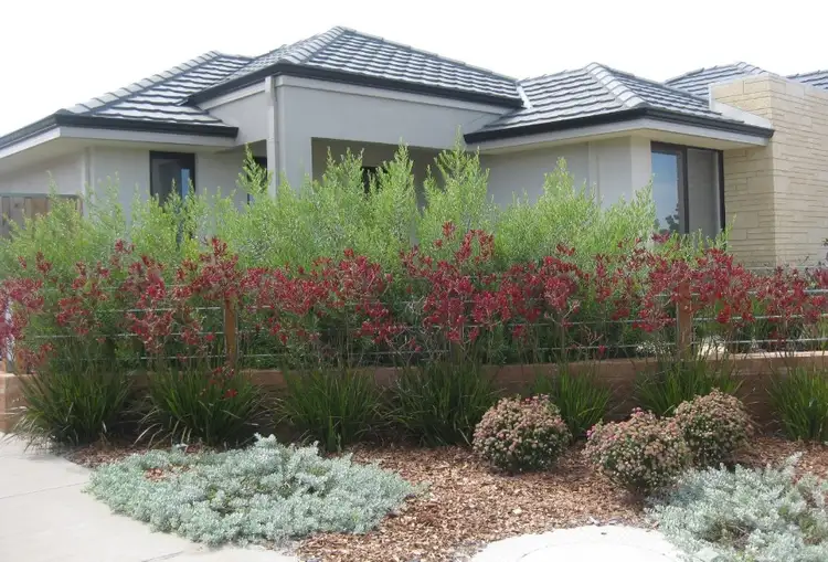 74 Delapre Drive, Ellenbrook WA 6069