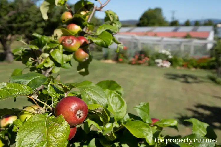 Sixth view of Homely house listing, 37 Hyndes Road, Port Huon TAS 7116