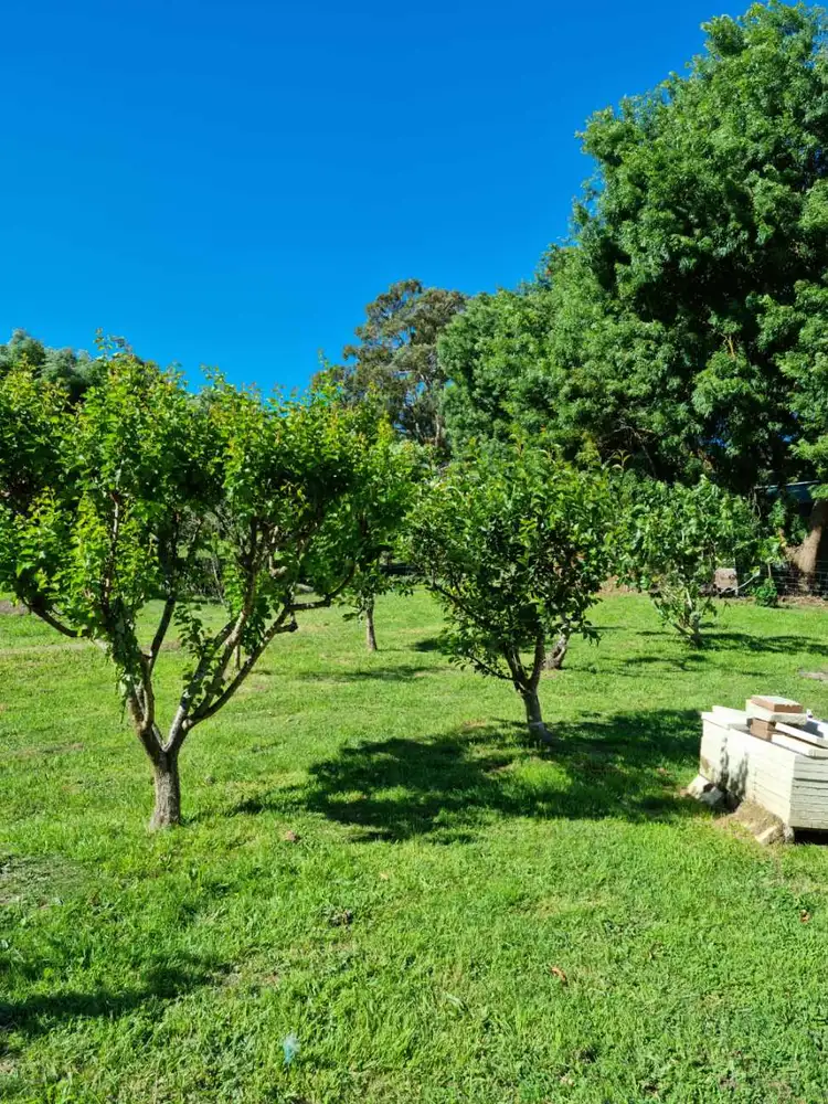 Fifth view of Homely house listing, 43 Walkers Lane, Mount Egerton VIC 3352