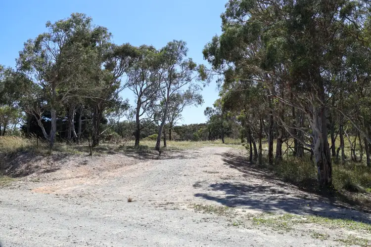 Second view of Homely rural property listing, 96 Leahys Lane, Lake Bathurst NSW 2580