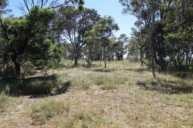 Fifth view of Homely rural property listing, 96 Leahys Lane, Lake Bathurst NSW 2580
